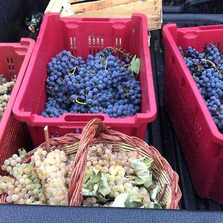 阿雷佐Castello Di Valenzano别墅 外观 照片