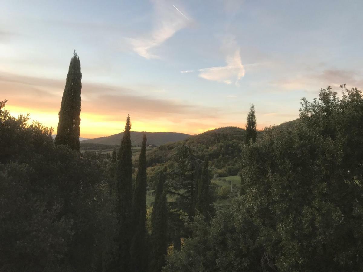 阿雷佐Castello Di Valenzano别墅 外观 照片