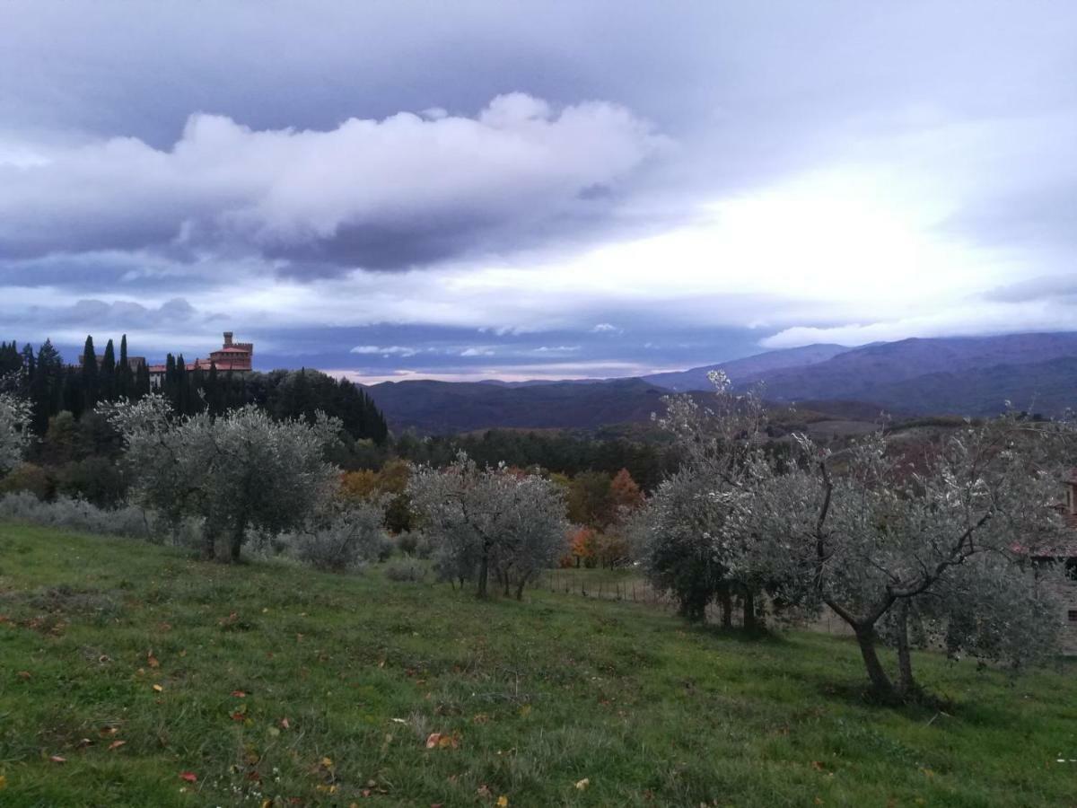 阿雷佐Castello Di Valenzano别墅 外观 照片